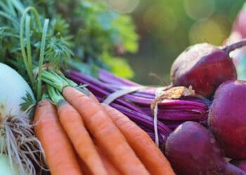 Traceability in South Africa's food system holds a range of benefits for not only food producers but consumers as well. Justin Platt, founder and CEO of Zylem and RegenZ, highlights the importance of implementing end-to-end traceability in agriculture. Photo: Supplied/Justin Platt