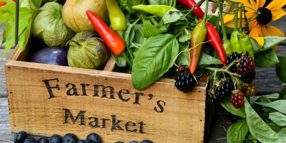 SA: Food insecurity weighs heavily on our minds