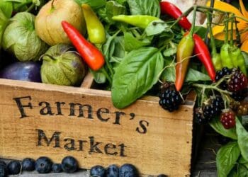 SA: Food insecurity weighs heavily on our minds