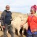 DRDAR MEC Nonkqubela Pieters and chairperson of Enoch Mgijima Wool Grower’s association, Siyambonga Booi feel the wool of some of the Dohne Merino rams handed over by the Chris Hani District Municipality. Photo: DRDAR