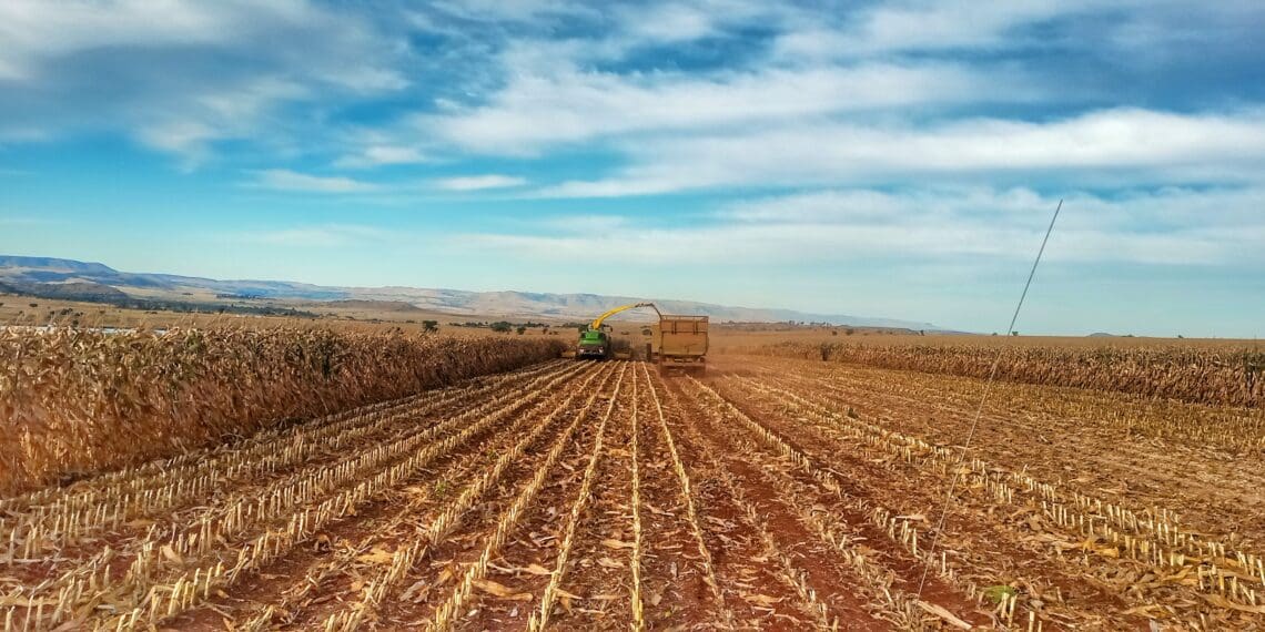 'Inadequate' extension officers pushed under the bus