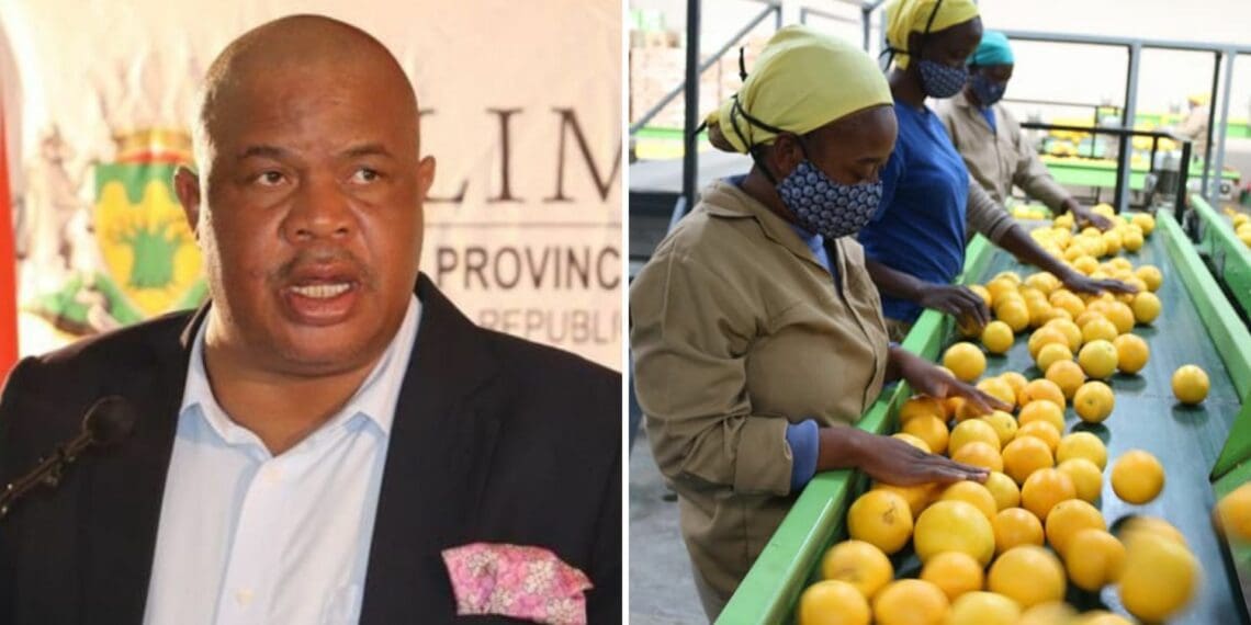 ICYMI: Limpopo prioritises sustainable farming