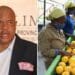 ICYMI: Limpopo prioritises sustainable farming