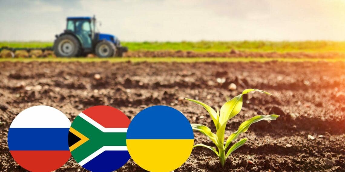 Black Sea grain deal: trouble lurks for SA consumers
