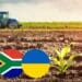 Black Sea grain deal: trouble lurks for SA consumers