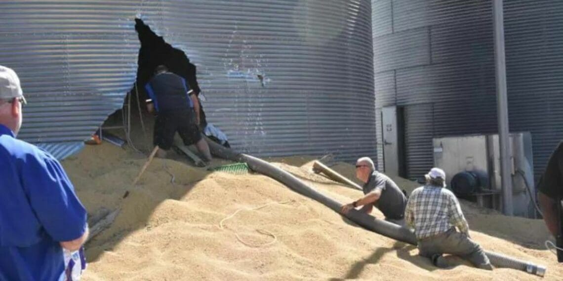 US farm in hot water after SA farmworker dies