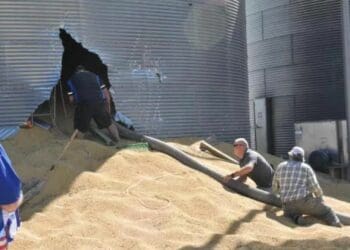 US farm in hot water after SA farmworker dies