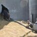 US farm in hot water after SA farmworker dies