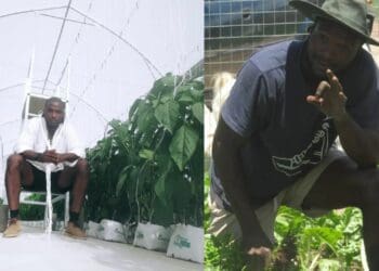 USkepe bubungqina obuphilayo bokuba ekunyamezeleni kukho umvuzo