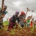 Index Insurance remains a pipeline dream in SA