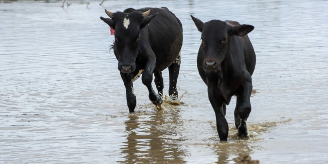 Key climate change fundamentals for farmers