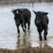 Key climate change fundamentals for farmers