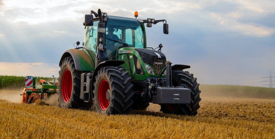 Maize farmer sees the light after biotech trials