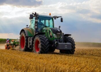 Maize farmer sees the light after biotech trials