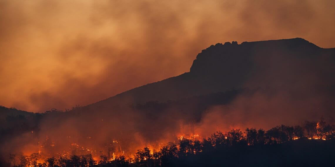 Climate Change: Higher risk of wildfires for Cape Town