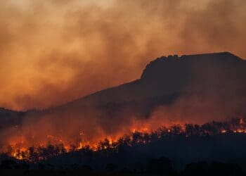 Climate Change: Higher risk of wildfires for Cape Town