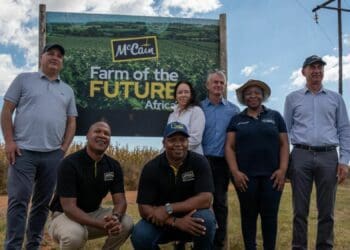 McCain’s ‘future farm’ boosts potato cultivation