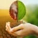 How to talk to loved ones about climate change
