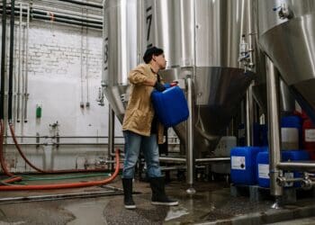 Podcast: Exploring the essence of fermentation