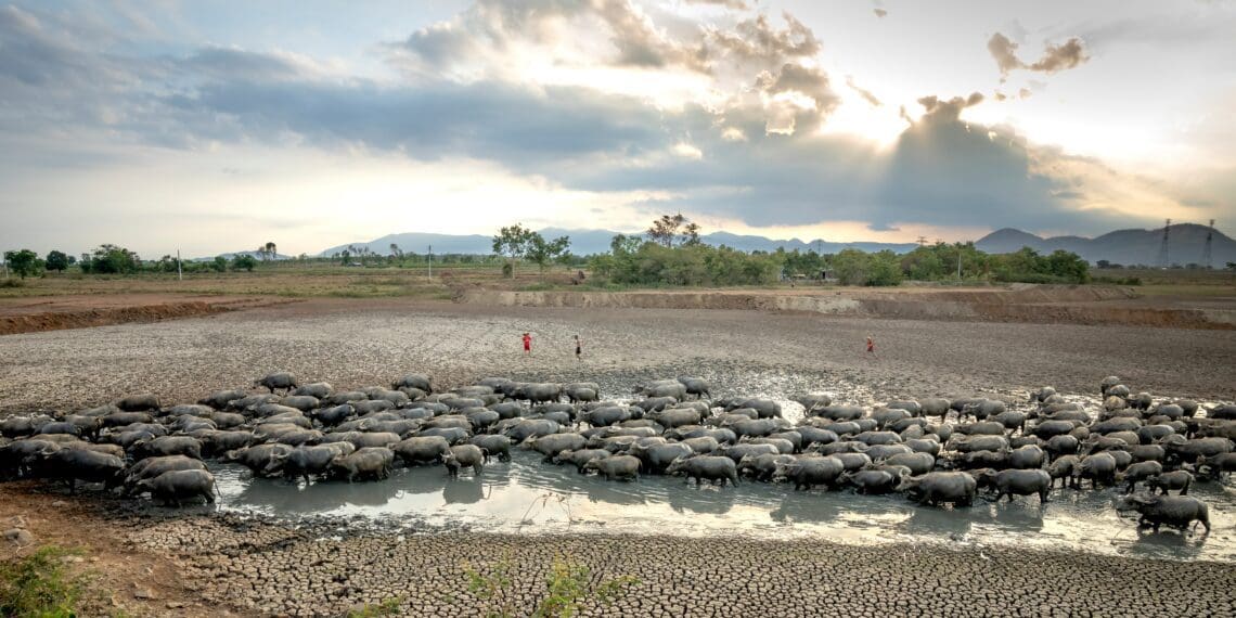 Climate change: SA's farmers are eager to adapt