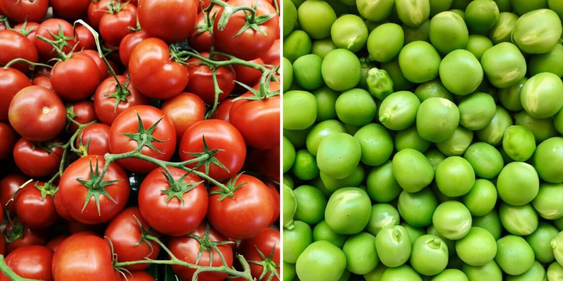 Seed Day: How you can save seeds and money