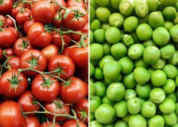 Seed Day: How you can save seeds and money