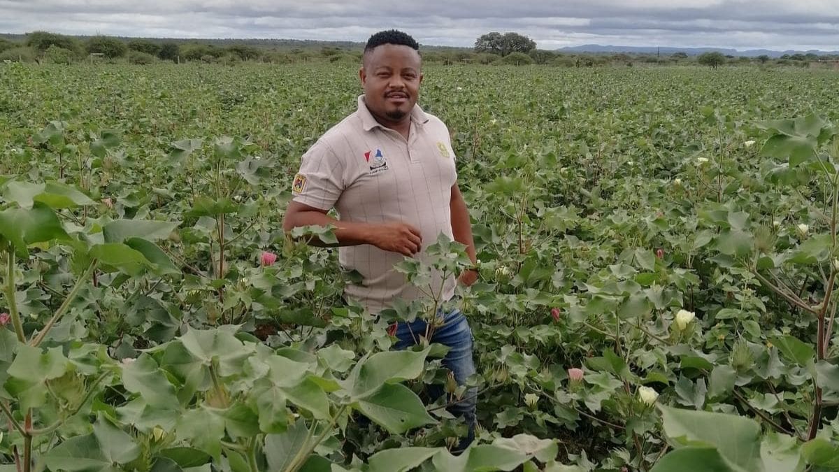 Usewumlimi omkhulu owaqala elusa