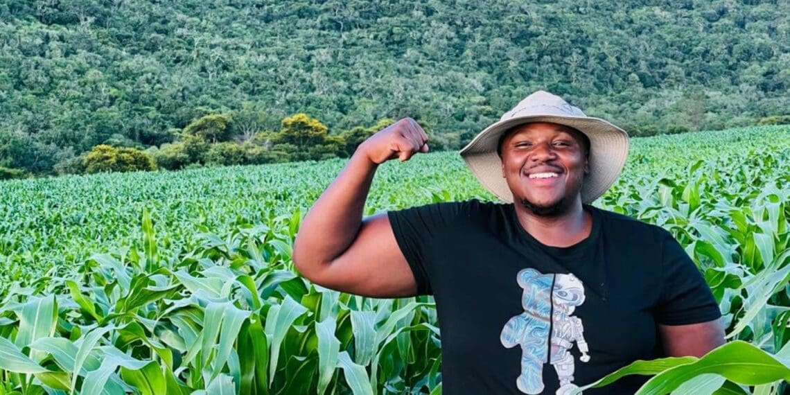 USiphosihle Maseko, ongumfama waseQoboqobo eMpuma Koloni, uthengisela iimarike zombini, esesikweni nengekho sesikweni amakhaphetshu akhe nombona oluhlaza.