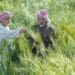 Saudi Arabia: Growing food in the desert is doable