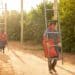 Transformation is a big deal for citrus industry