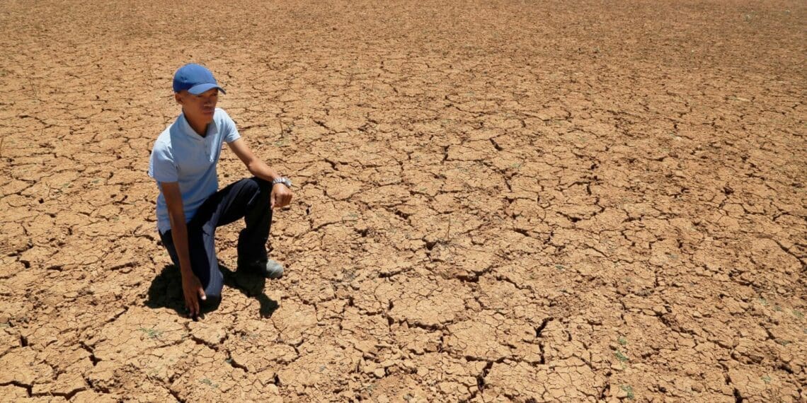 Farmers from Upington in the Northern Cape are in dire need of water to run their operations Photo: Supplied/Denis Farrel