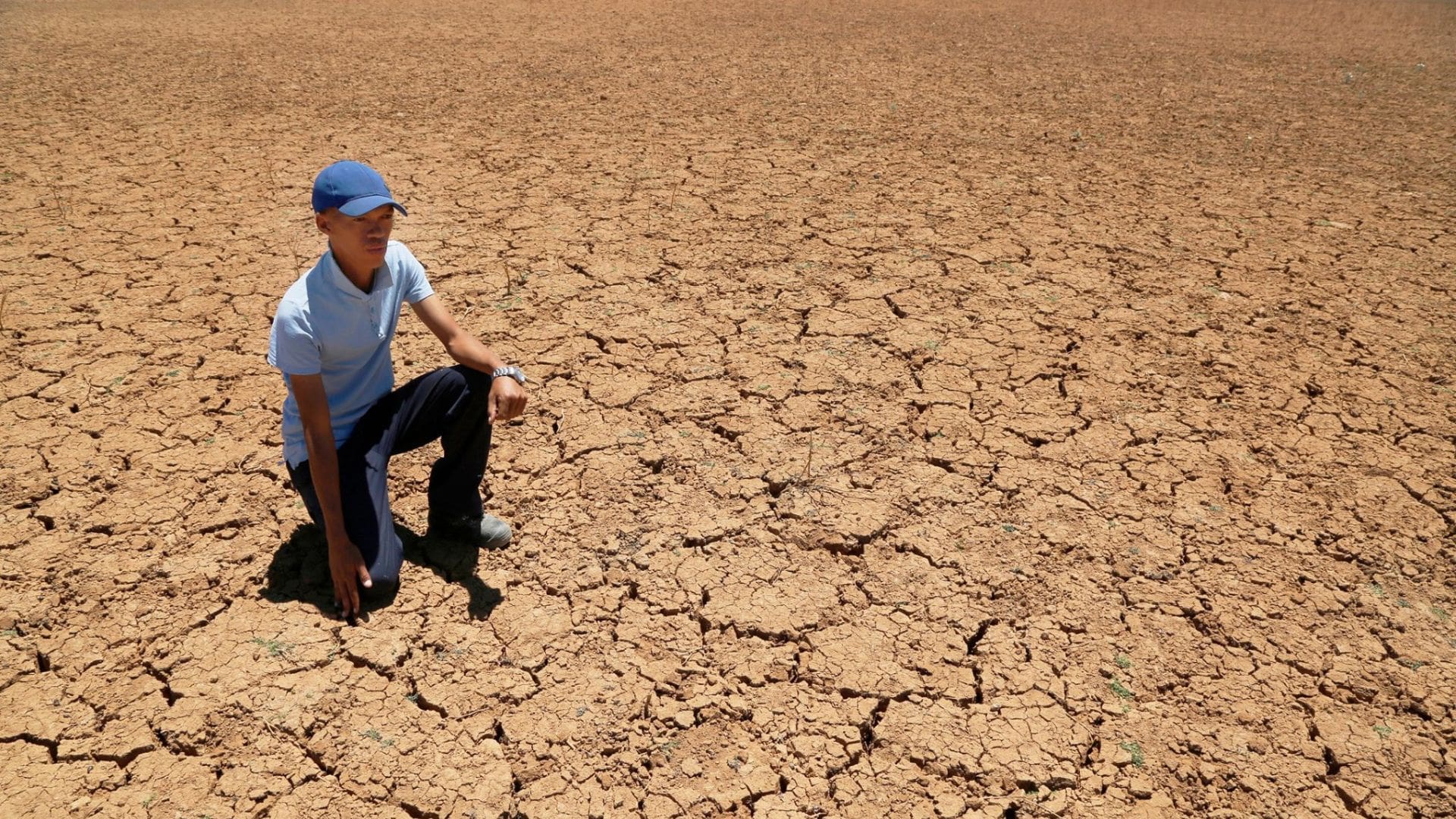 Upington farmers face desperate water crisis on municipal land - Food ...