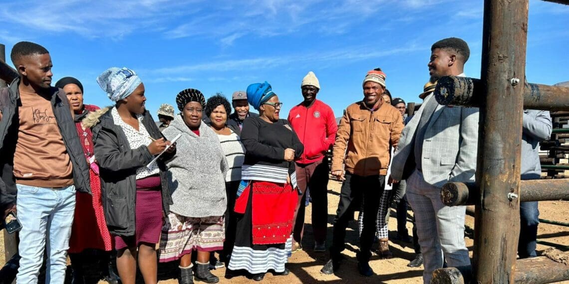 The Eastern Cape region of South Africa experienced a severe multi-year drought from 2015 through early 2020, and the Spring Grove Farmer’s Association had a tough couple of farming years as a result. But they are back and stronger than ever. Photo: Supplied/DRDAR