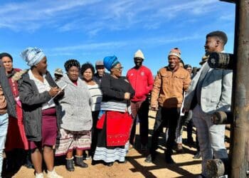 The Eastern Cape region of South Africa experienced a severe multi-year drought from 2015 through early 2020, and the Spring Grove Farmer’s Association had a tough couple of farming years as a result. But they are back and stronger than ever. Photo: Supplied/DRDAR