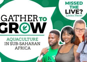 Farmer 101: Dive into the world of aquaculture