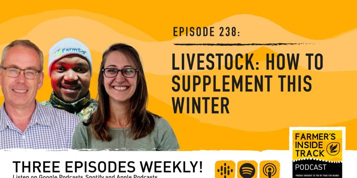Podcast: How to supplement livestock this winter