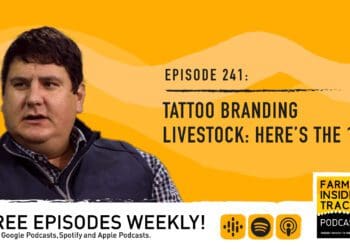 Podcast: The 101 on branding your livestock