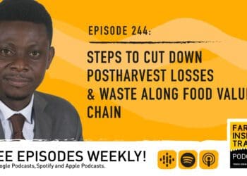 Podcast: How to cut down food waste on farms