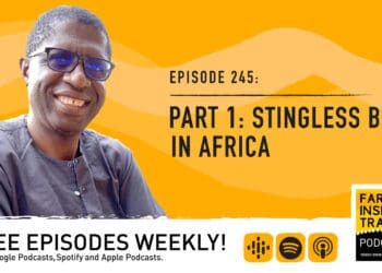 Podcast: The role of stingless bees in Africa