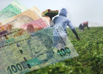 Stumbling blocks: Funding, land access curb women farmers