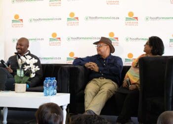Themba Rikhotso, CEO of Land Bank, discusses the institution’s commitment to supporting all farmers during a Food For Mzansi lunchtime conversation at Nampo Park in Bothaville in the Free State. Christo van der Rheede, executive director of Agri SA, and Leona Archary, CEO of the Agricultural Development Agency (Agda), also shared their insights on the sector’s growth and the importance of collaboration. Photo: Gareth Davies/Food For Mzansi