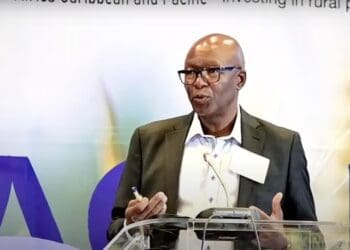 Ishmael Sunga, SACAU chief executive, believes that opening lucrative business opportunities in agriculture is the way to get much-needed young blood into this crucial sector. Photo: Food For Mzansi