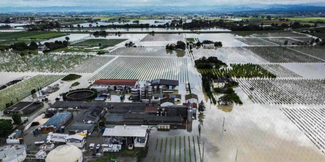 ICYMI: Floods damage over 5 000 farms in Italy