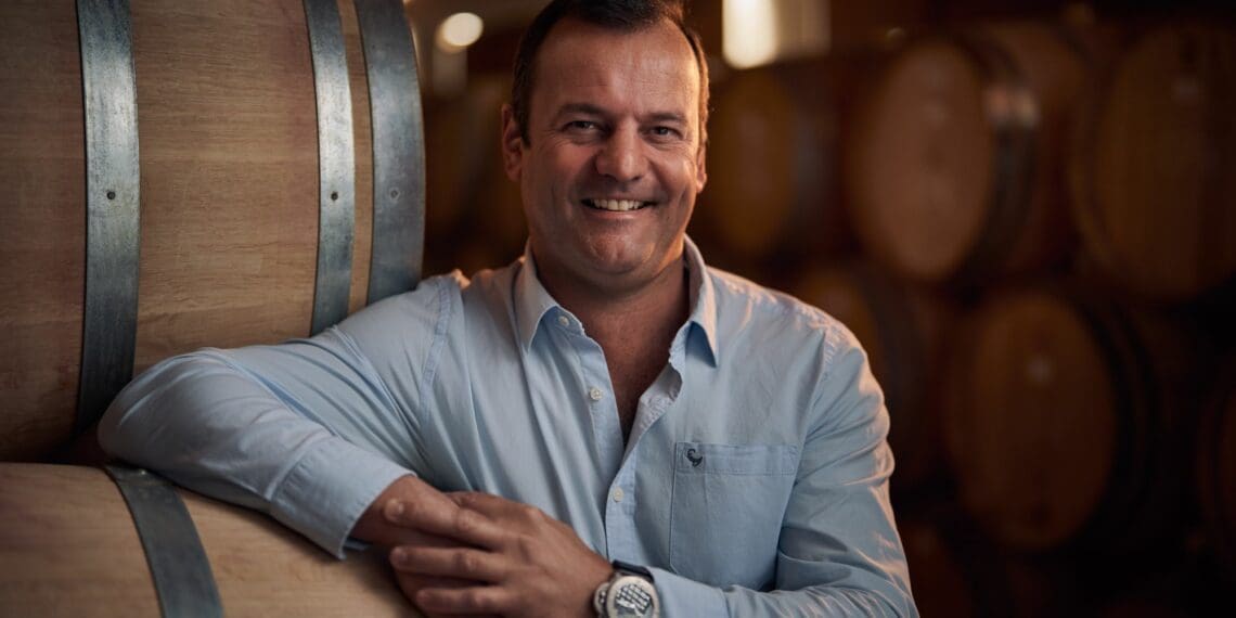 Merlot is ‘rising star of wine-making scene’
