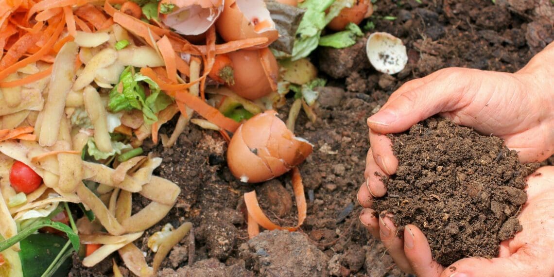 How to effectively manage food waste on farms