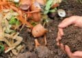 How to effectively manage food waste on farms