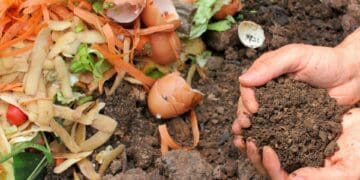 How to effectively manage food waste on farms