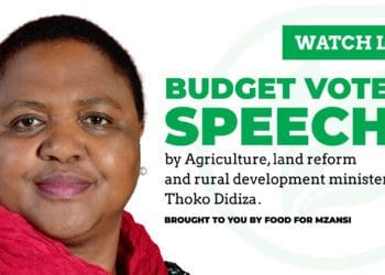 All eyes will be on the minister of agriculture, land reform and rural development, Thoko Didiza when she delivers her budget speech this morning. Photo: Supplied/Food For Mzansi