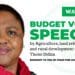 All eyes will be on the minister of agriculture, land reform and rural development, Thoko Didiza when she delivers her budget speech this morning. Photo: Supplied/Food For Mzansi
