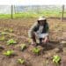 Former DJ Mchunu stays in tune on his farm